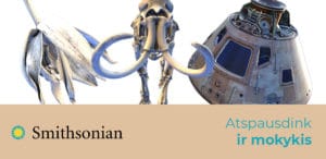 tinklaraščio įrašo smithsonian 3d kultūros objektų duombazė paveikslėlis